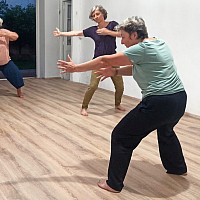 qi gon marseille jardin intérieur